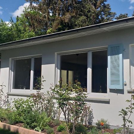 Gartenchalet Rotkehlchen Bad Homburg vor der Höhe Esterno foto