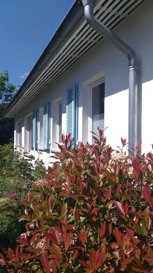 Gartenchalet Rotkehlchen Bad Homburg vor der Höhe Esterno foto